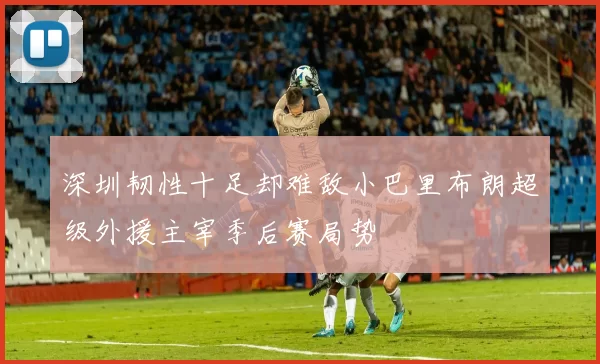 深圳韧性十足却难敌小巴里布朗超级外援主宰季后赛局势